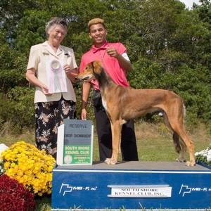 Meet your Posher, Luke